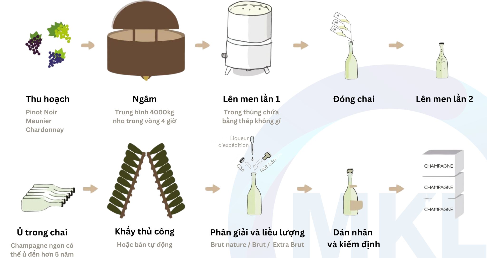 quy trình sản xuất rượu champagne Pháp